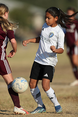 20241012StingG14Game6Win-4175