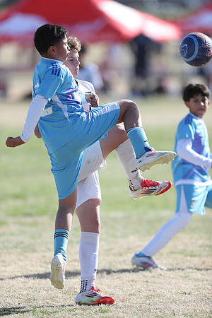 20250315StingAustingG14TigerCupG1-20165