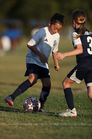 20241027StingG14G8Win-7081