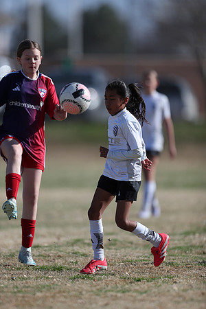 20250315StingAustingG14TigerCupG2-20375