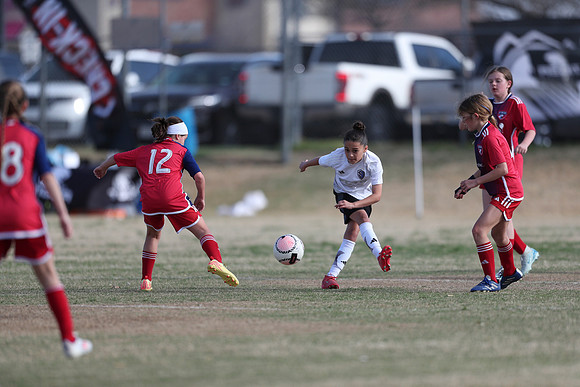 20250315StingAustingG14TigerCupG2-20600