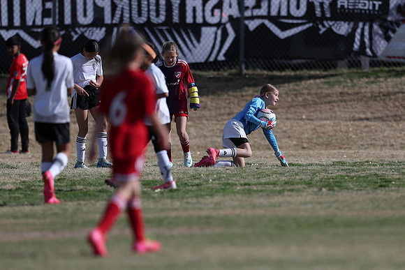 20250315StingAustingG14TigerCupG2-20021