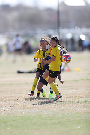20250315StingAustingG14TigerCupG1-20532