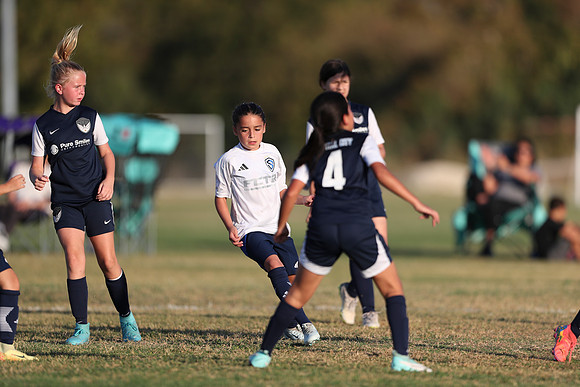 20241027StingG14G8Win-6591
