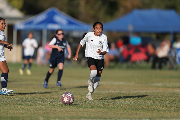 20241027StingG14G8Win-6248