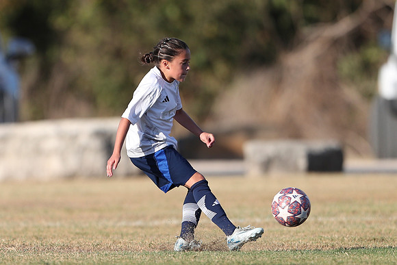 20241027StingG14G8Win-6281
