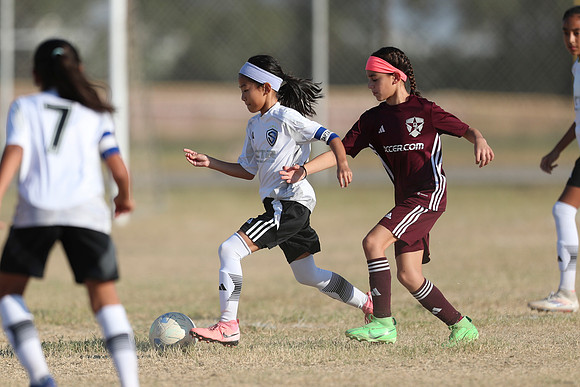 20241012StingG14Game6Win-4588