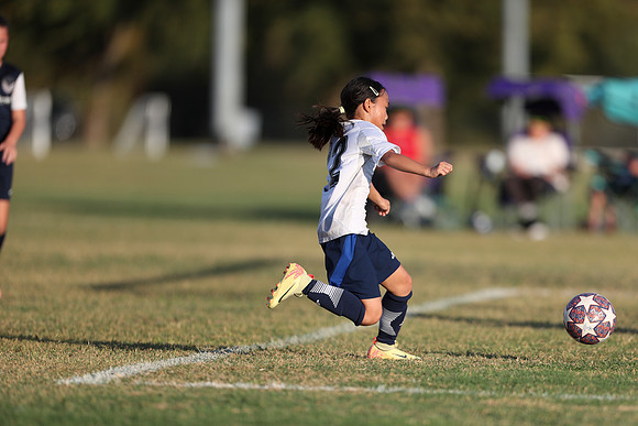 20241027StingG14G8Win-6543