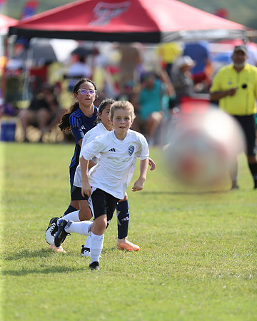 20240831StingLaborDayG2-0248