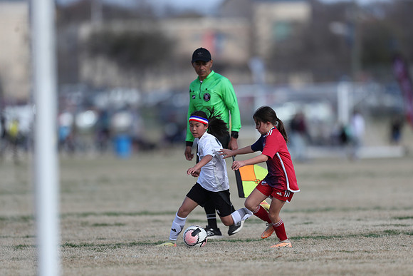 20250315StingAustingG14TigerCupG2-20551