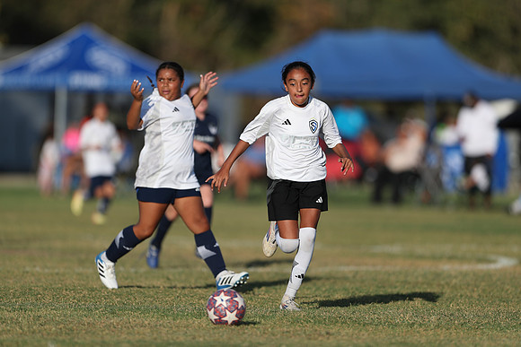 20241027StingG14G8Win-6253