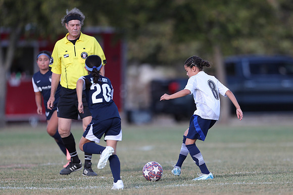 20241027StingG14G8Win-5486
