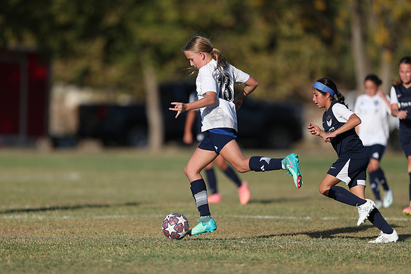 20241027StingG14G8Win-5975