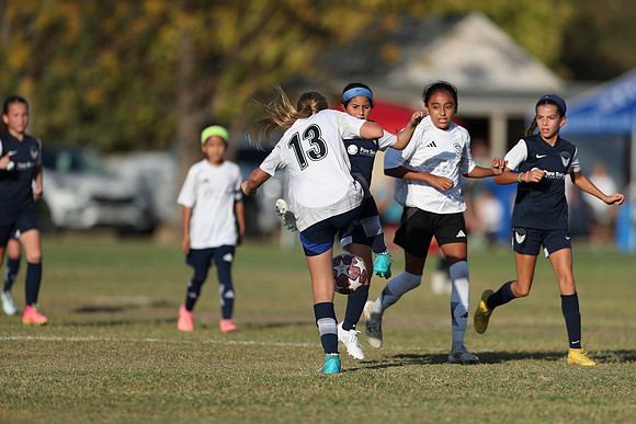 20241027StingG14G8Win-5970