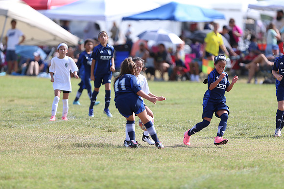 20240831StingLaborDayG2-0327