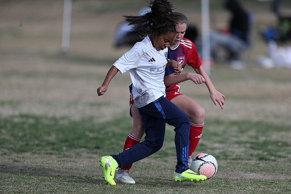 20250315StingAustingG14TigerCupG2-20628