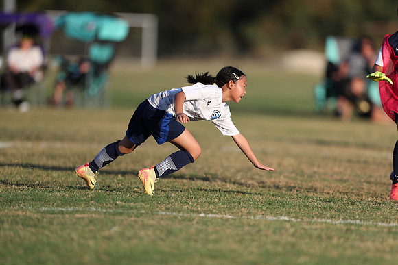 20241027StingG14G8Win-6549