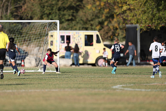 20241027StingG14G8Win-6059