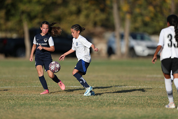 20241027StingG14G8Win-6264