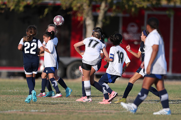 20241027StingG14G8Win-6383