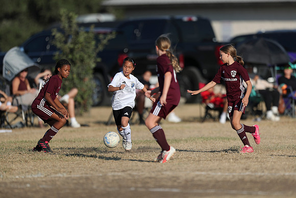 20241012StingG14Game6Win-4076