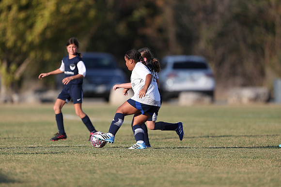 20241027StingG14G8Win-6405