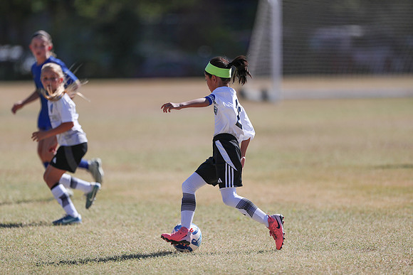 20240928StingG4Win-7728