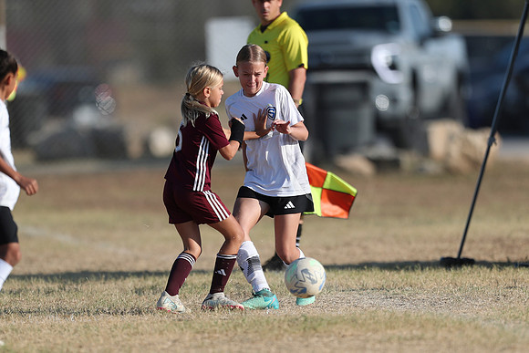 20241012StingG14Game6Win-4548