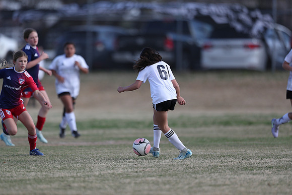 20250315StingAustingG14TigerCupG2-20499