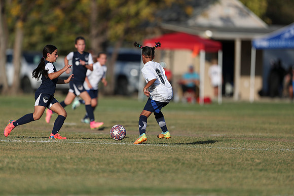 20241027StingG14G8Win-5860