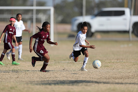 20241012StingG14Game6Win-4648