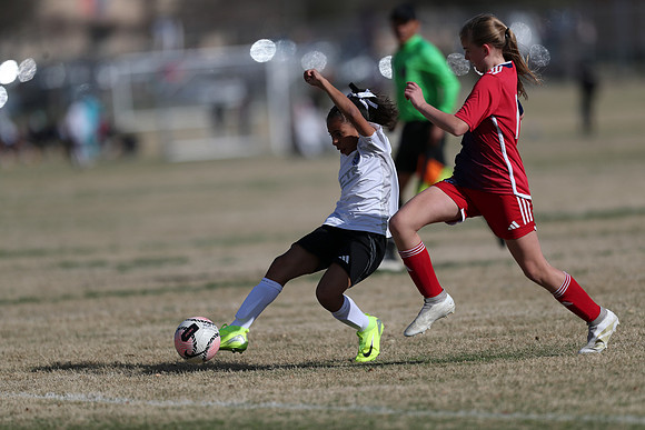20250315StingAustingG14TigerCupG2-20034