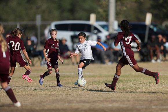 20241012StingG14Game6Win-4404