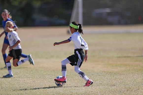 20240928StingG4Win-7727