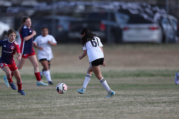 20250315StingAustingG14TigerCupG2-20500