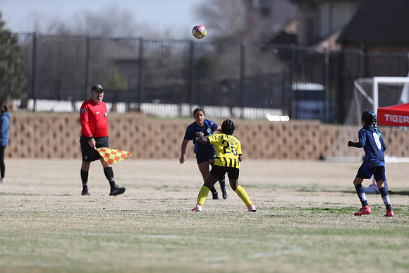 20250315StingAustingG14TigerCupG1-20707