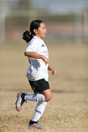 20241012StingG14Game6Win-4775