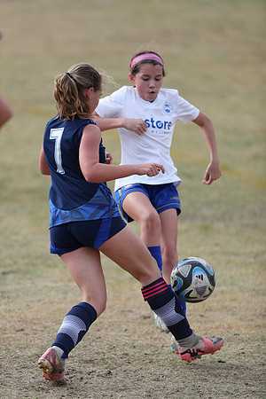 20241103StingG12-8351