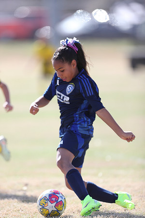 20250315StingAustingG14TigerCupG1-20314