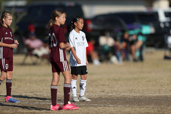 20241012StingG14Game6Win-3979