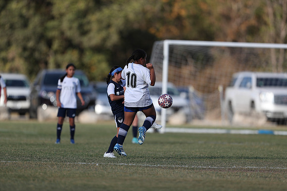 20241027StingG14G8Win-5612