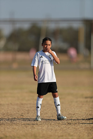20241012StingG14Game6Win-4041