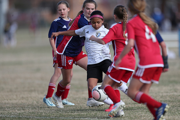 20250315StingAustingG14TigerCupG2-20574