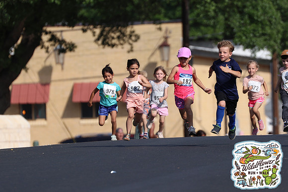 20250426HCMWildflower-3221