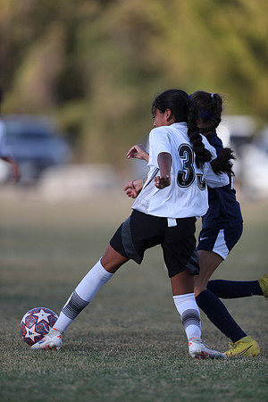 20241027StingG14G8Win-5624