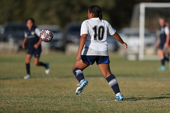 20241027StingG14G8Win-6268