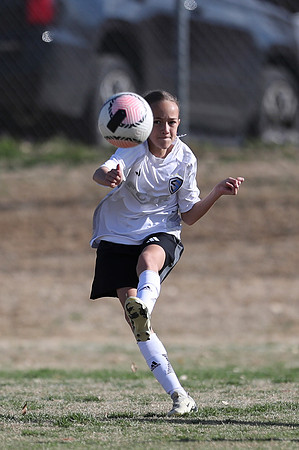 20250315StingAustingG14TigerCupG2-20224