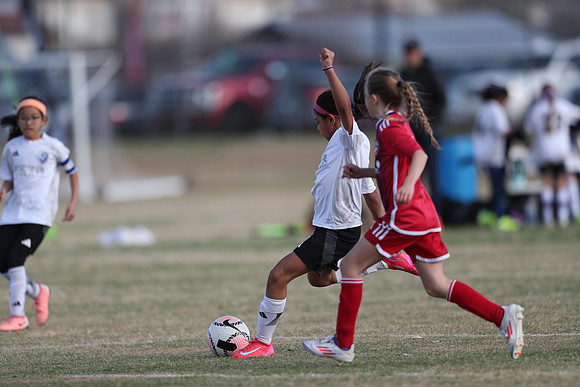 20250315StingAustingG14TigerCupG2-20516
