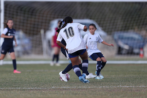 20241027StingG14G8Win-5459
