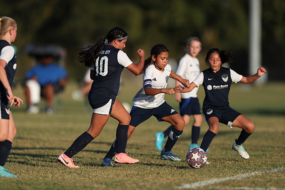 20241027StingG14G8Win-6824